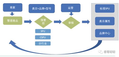 電商系統(tǒng)中商品模型與類目體系設(shè)計(jì)與信息系統(tǒng)集成服務(wù)